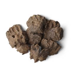 جار نوادر الشيخ